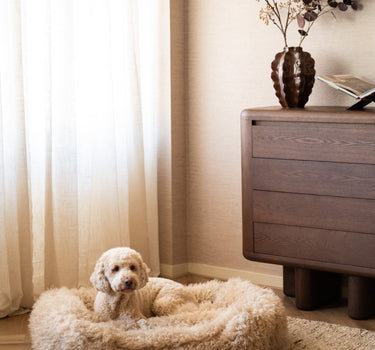 Tibetan Lamb Dog Bed Beige
