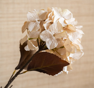 Bloomingville - Faux Flower Hydrangea - Things I Like Things I Love