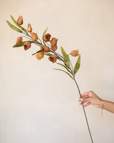 Faux Flower Abutilon Orange - Things I Like Things I Love