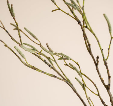 Faux Flower Birch Green - Things I Like Things I Love