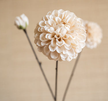 Faux Flower Dahlia Cream - Things I Like Things I Love