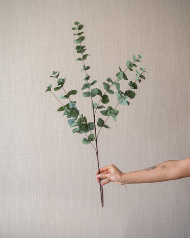 Faux Flower Eucalyptus Green - Things I Like Things I Love