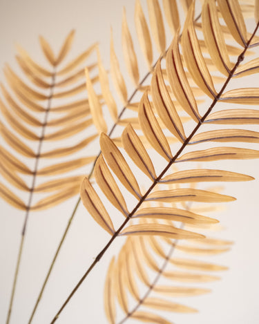 Faux Flower Fern Natural - Things I Like Things I Love