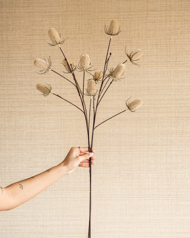 Faux Flower Thistle Beige - Things I Like Things I Love