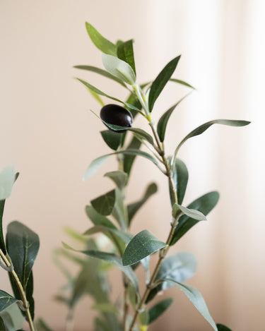 Faux Olive Tree - Things I Like Things I Love
