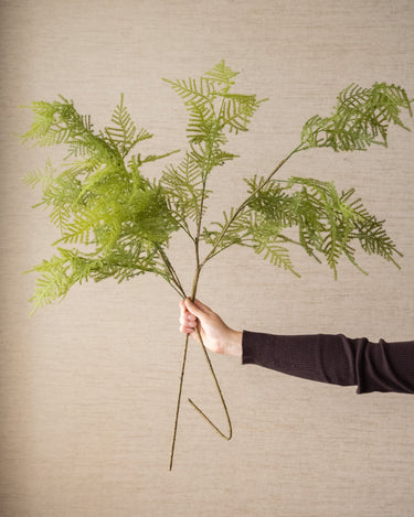 Kunstbloem Asparagus Groen - Things I Like Things I Love