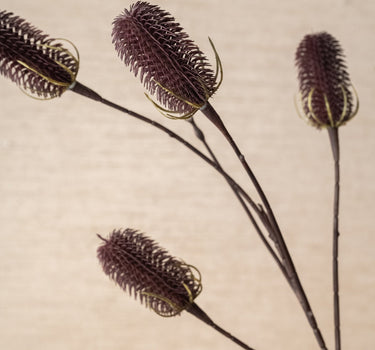 Kunstbloem Distel Aubergine - Things I Like Things I Love
