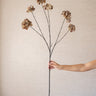 Kunstbloem Hortensia Bruin - Things I Like Things I Love