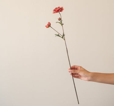 Kunstbloem Ranonkel Roze - Things I Like Things I Love