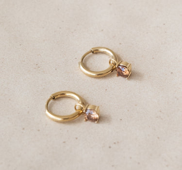 TILTIL Set van 2 Teddy Zircon Earrings Bruin Goud - Things I Like Things I Love